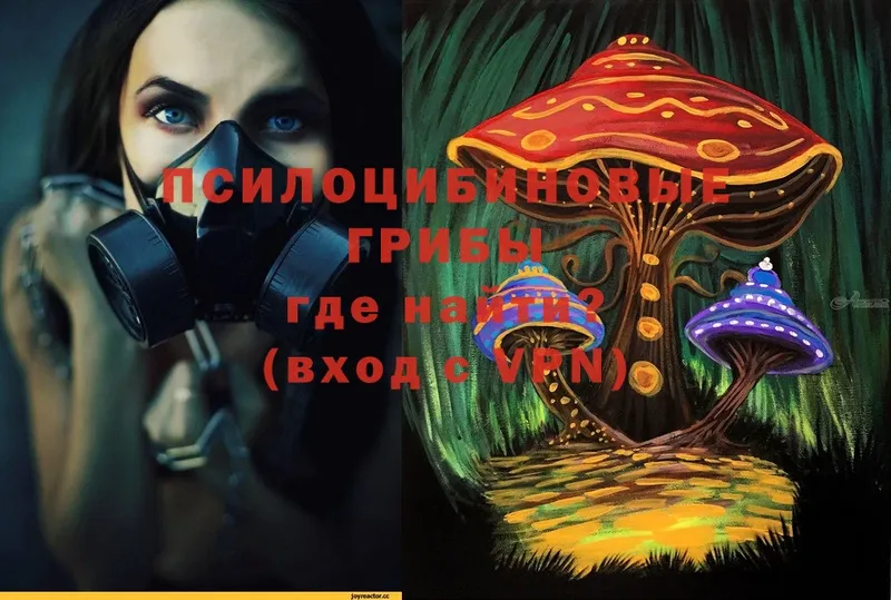 omg зеркало  Белинский  Псилоцибиновые грибы Magic Shrooms 